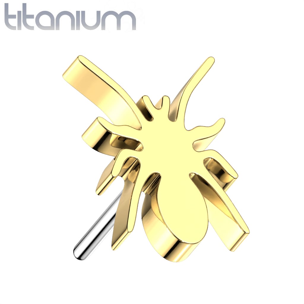 Labret Spider Titanium1